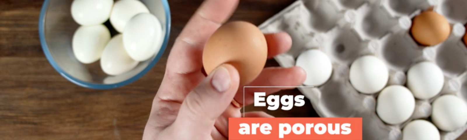 Egg Care Best Practices