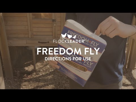 FREEDOM FLY - All American Dried Black Soldier Fly Larvae Poultry Treats, Made in USA