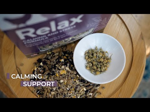 RELAX - Functional Poultry Treats for Calming Support