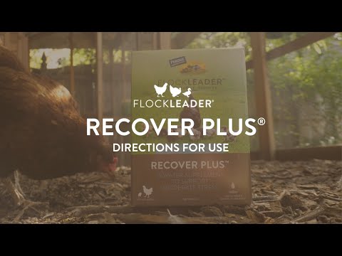 RECOVER PLUS – Moderate Stress Probiotic Water Supplement for Chickens with Electrolytes & Oregano