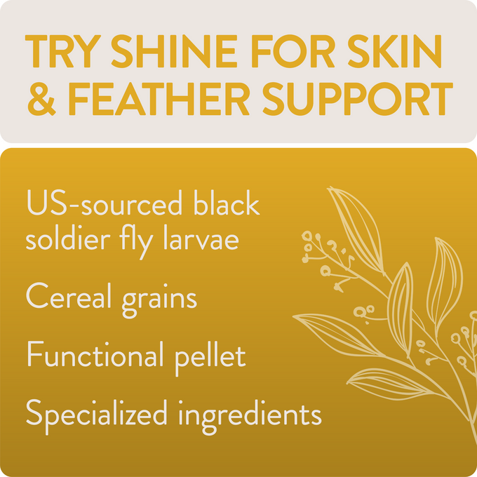 SHINE - Functional Poultry Treats for Skin & Feather Support