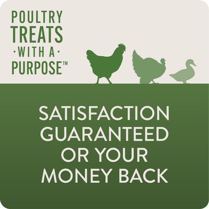 DEFEND - Functional Poultry Treats for Immune Support