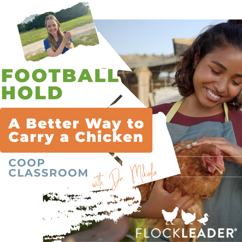 The Football Hold: A Better Way to Carry a Chicken