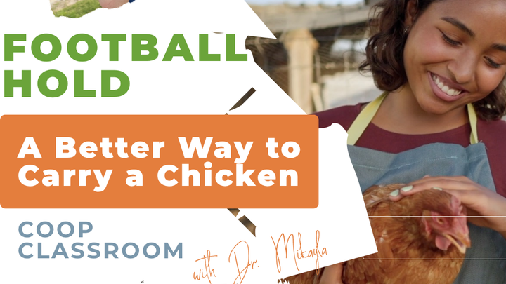 The Football Hold: A Better Way to Carry a Chicken