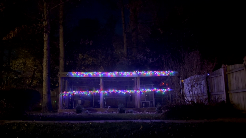 Merry Christmas and Happy Holidays from FlockLeader