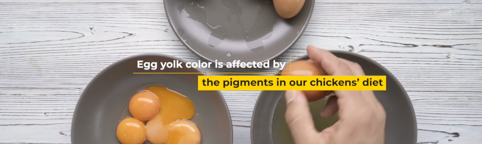 What Can I Do to Get Brighter Yolks?