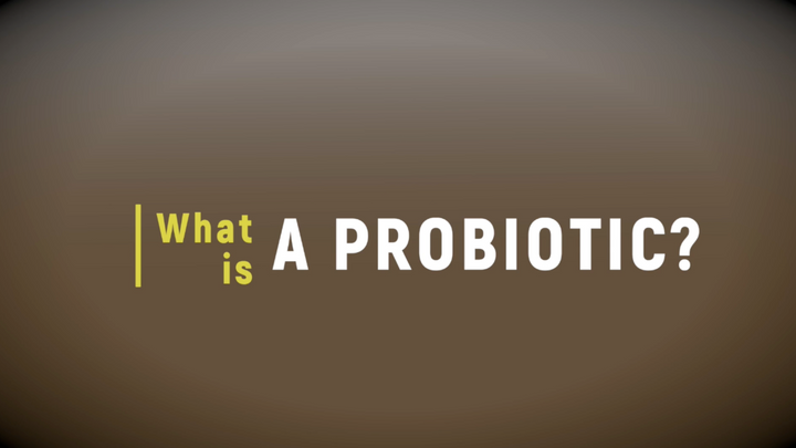 What is a Probiotic?