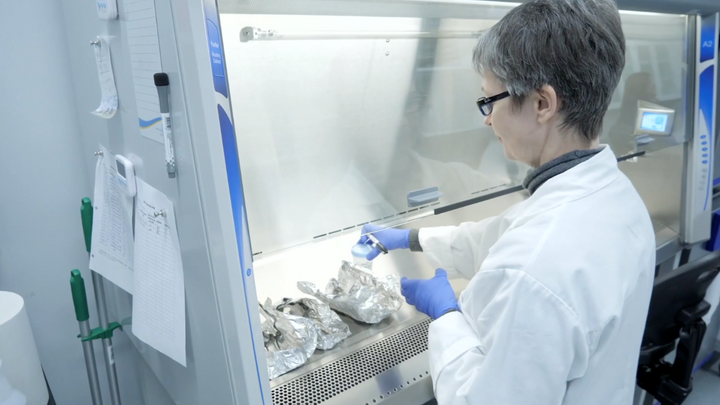 Black Soldier Fly Larvae (BSFL) and Animal Health