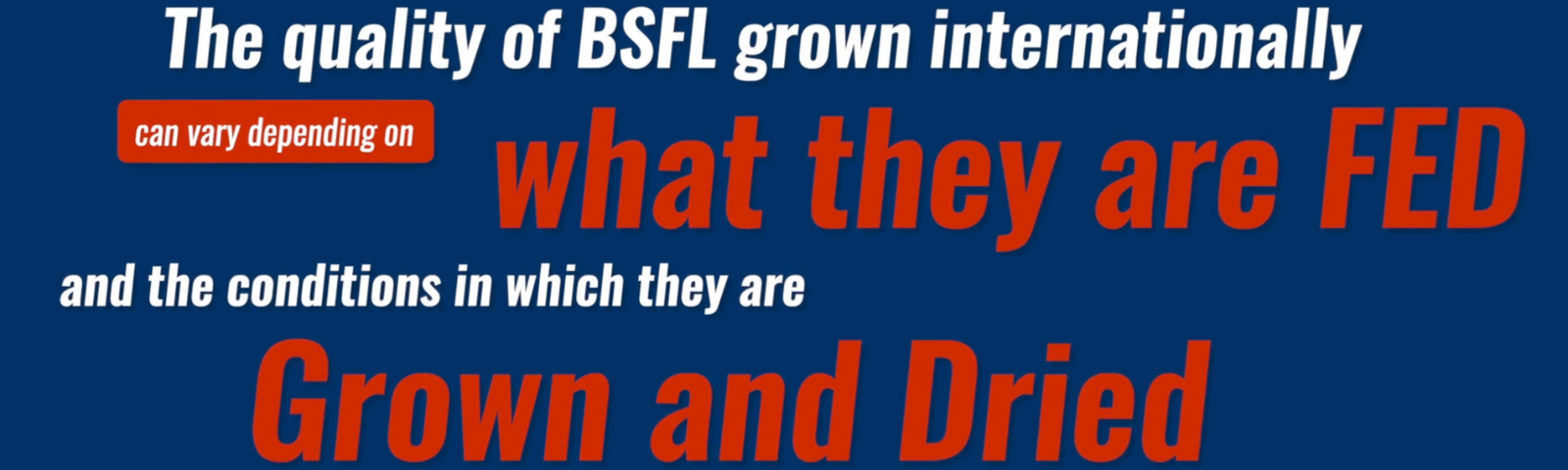 Safe and Nutritious Black Soldier Fly Larvae (BSFL)