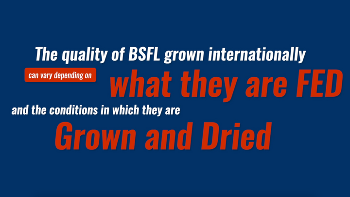 Safe and Nutritious Black Soldier Fly Larvae (BSFL)