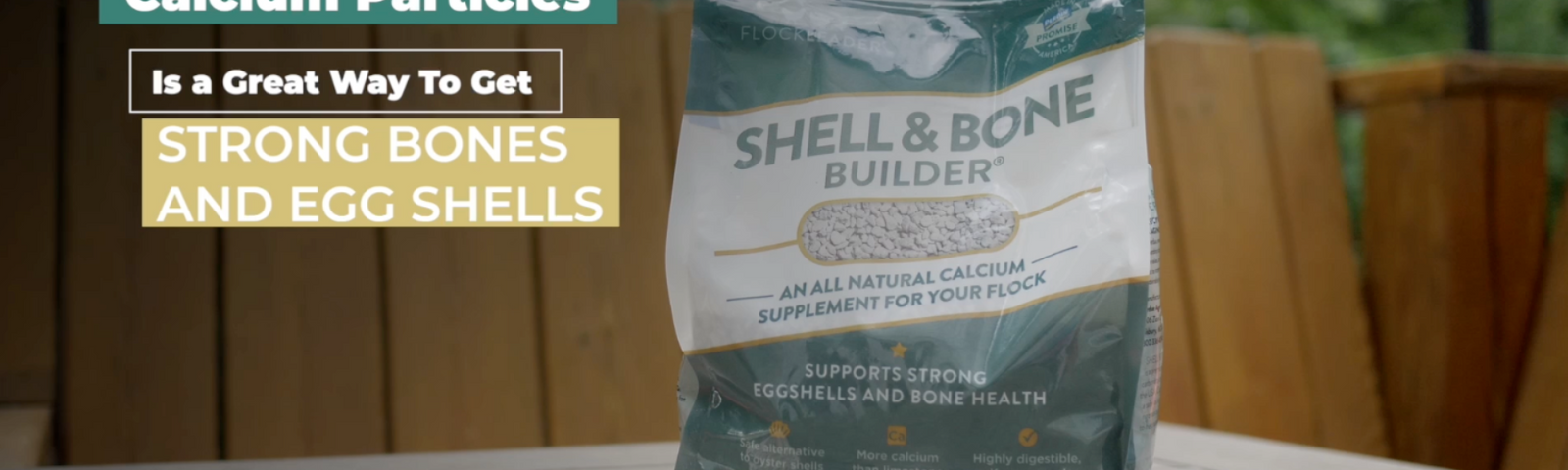 Introducing Shell & Bone Builder