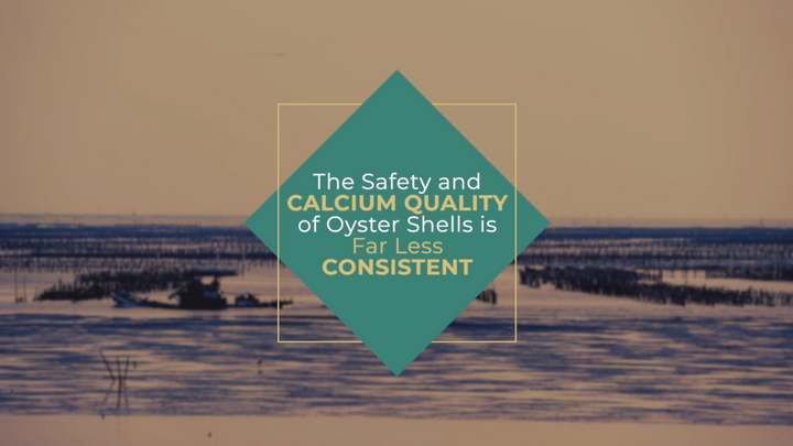 Limestone vs. Oyster Shells for Chickens