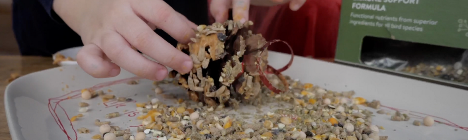 How to Make Edible Ornaments for Your Chickens
