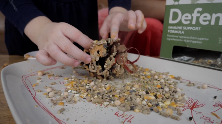 How to Make Edible Ornaments for Your Chickens