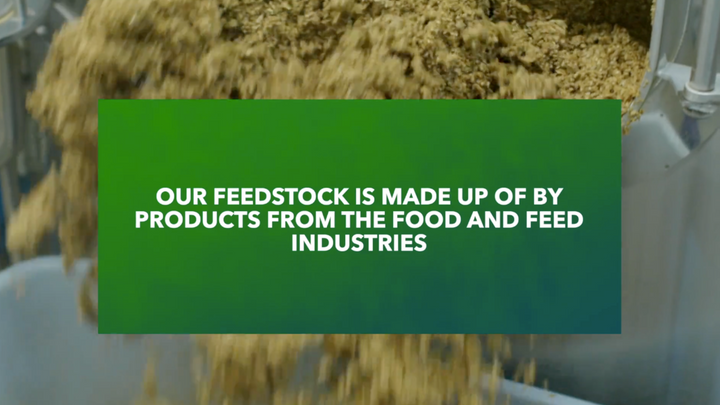 Black Soldier Fly Larvae (BSFL) Feedstock