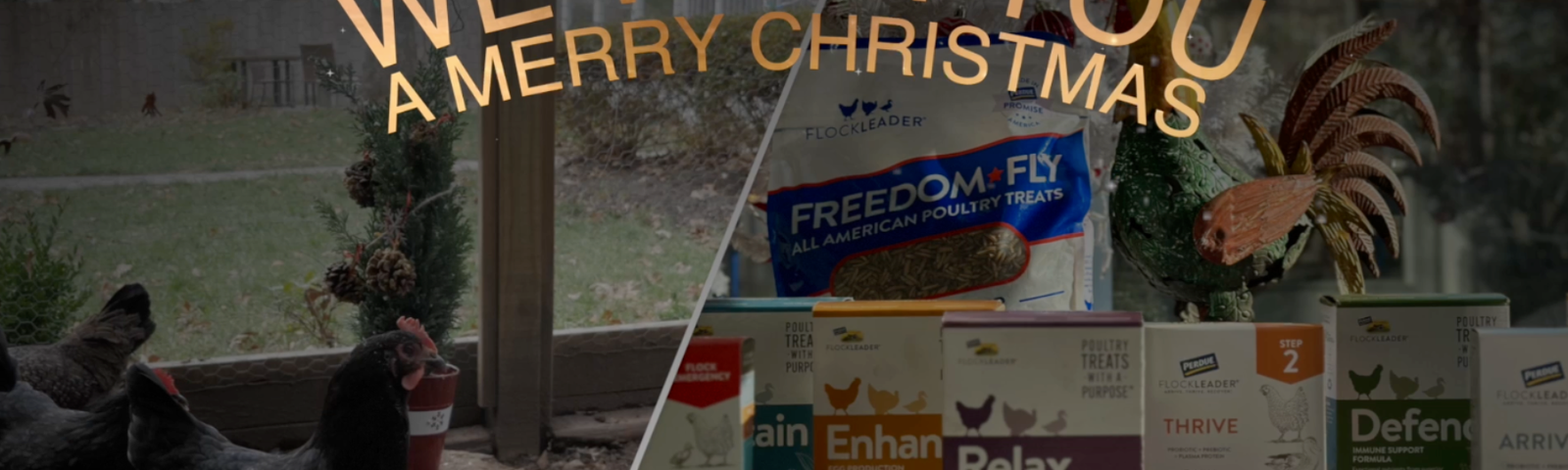 A Very Merry Christmas: Wish List Items for Every Bird in your Flock
