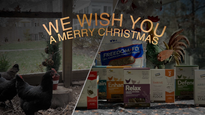 A Very Merry Christmas: Wish List Items for Every Bird in your Flock