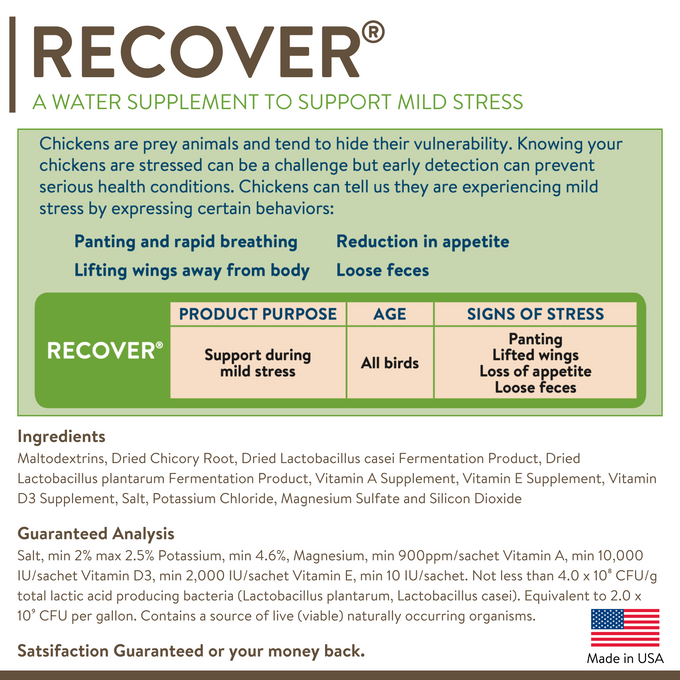 RECOVER – Mild Stress Probiotic Water Supplement for Chickens with Electrolytes