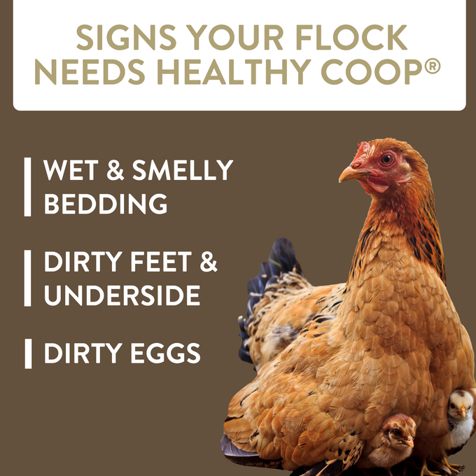 HEALTHY COOP - Litter Additive for Chicken Coop with Probiotic & Acidifier, Reduces Odor, Wetness & Bacteria