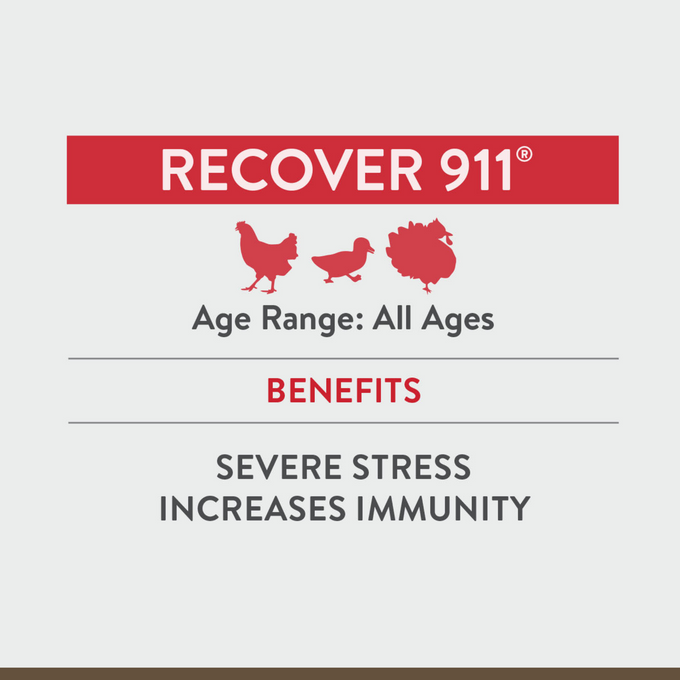 RECOVER 911 – Severe Stress Probiotic Water Supplement for Chickens with Electrolytes, Prebiotics & Oregano