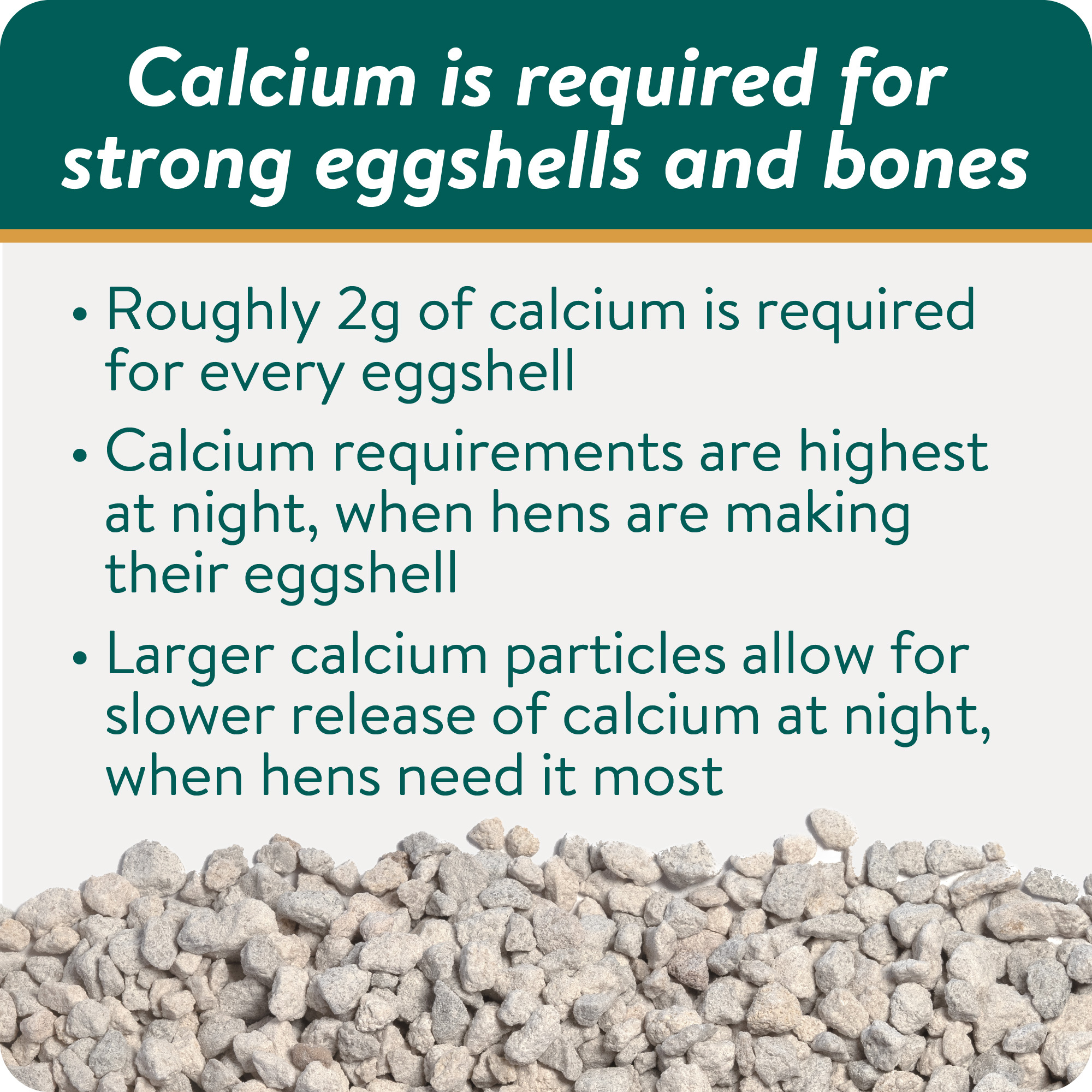 thumbnail image 2 of Morning Bird Stronger Bones & Eggshells 24 Oz Calcium Carbonate For Breeding And Non-Breeding Birds, Promotes Healthy Bone Growth In | Whizz 2 of 12