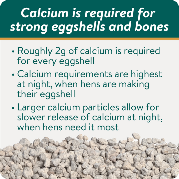 SHELL & BONE BUILDER - All Natural Calcium Supplement for Laying Hens to Support Strong Eggshells and Bone Health