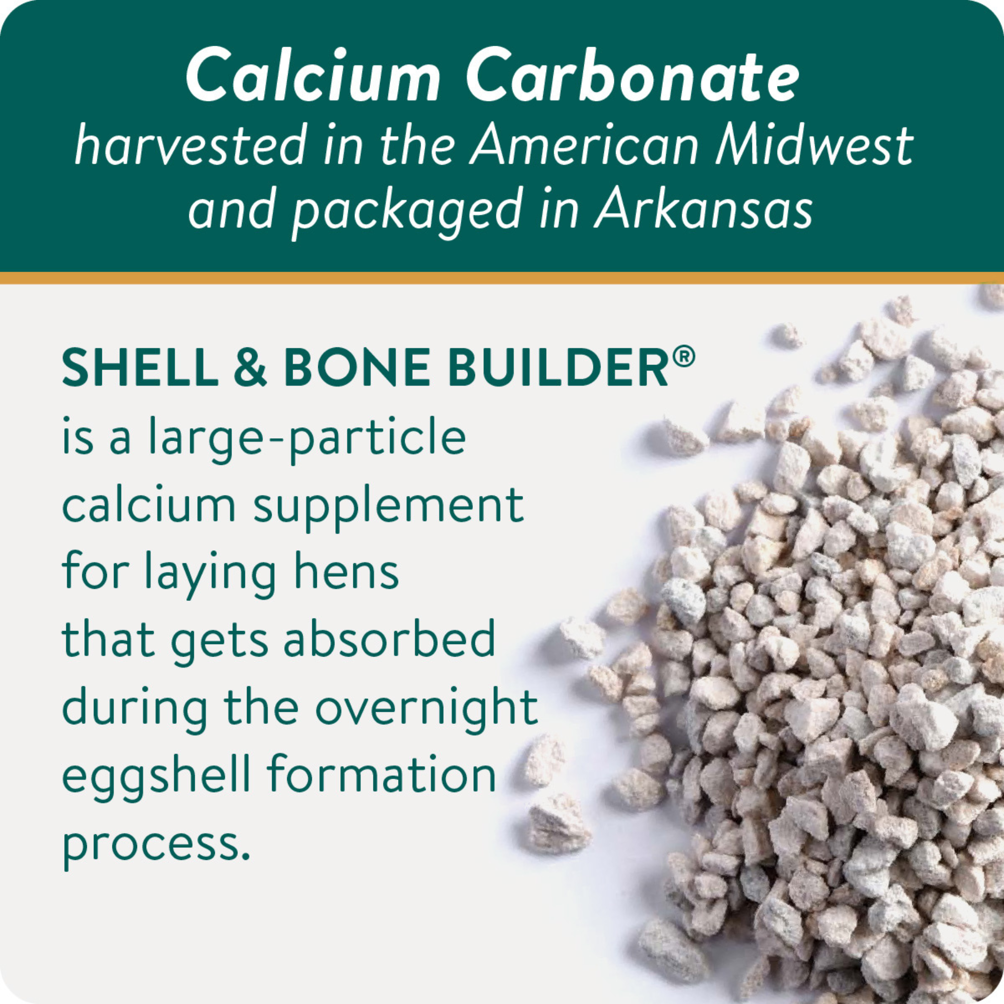 Complete Calcium Shell SHELL & BONE BUILDER - All Natural Calcium Supplement for Laying Hens ...