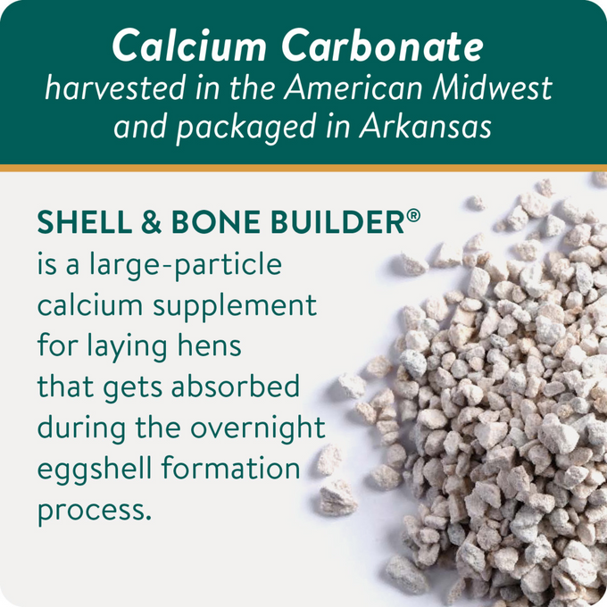 SHELL & BONE BUILDER - All Natural Calcium Supplement for Laying Hens to Support Strong Eggshells and Bone Health
