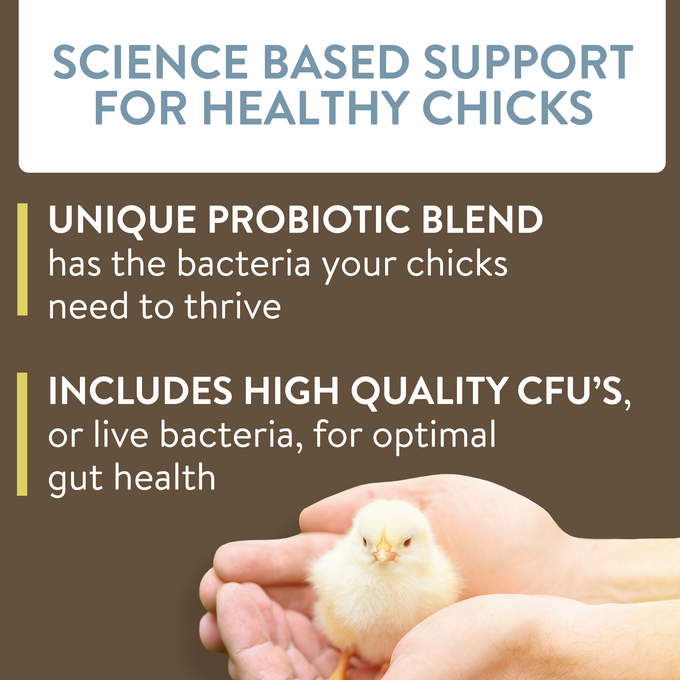 ARRIVE - Daily Probiotic & Prebiotic Water Supplement for Young Chickens 0-8 Weeks Old