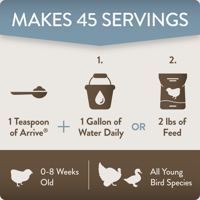 ARRIVE - Daily Probiotic & Prebiotic Poultry Supplement for Young Chickens 0-8 Weeks Old