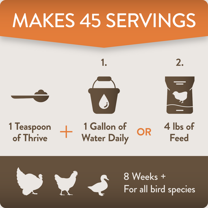 THRIVE - Daily Probiotic & Prebiotic Poultry Supplement for Chickens 8+ Weeks Old