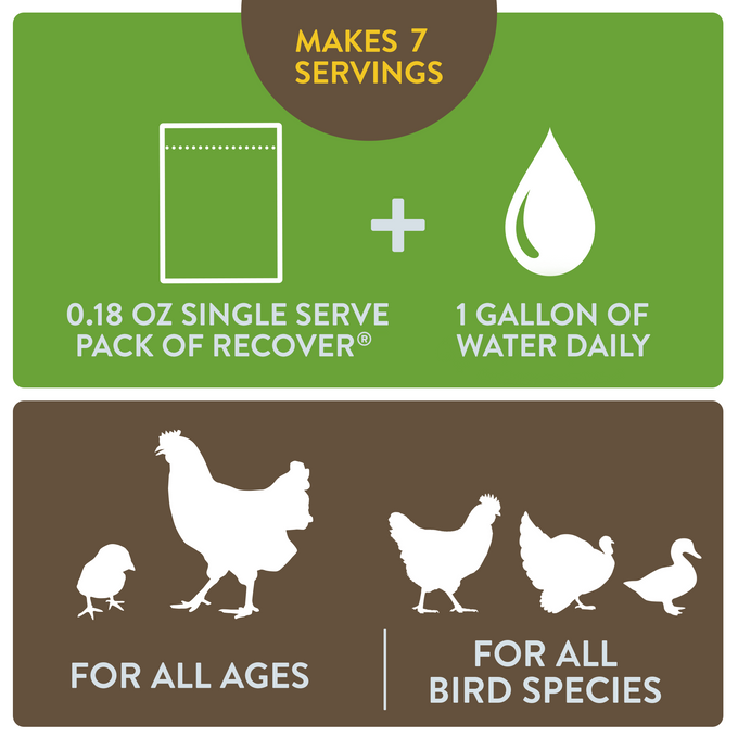 RECOVER – Mild Stress Probiotic Water Supplement for Chickens with Electrolytes