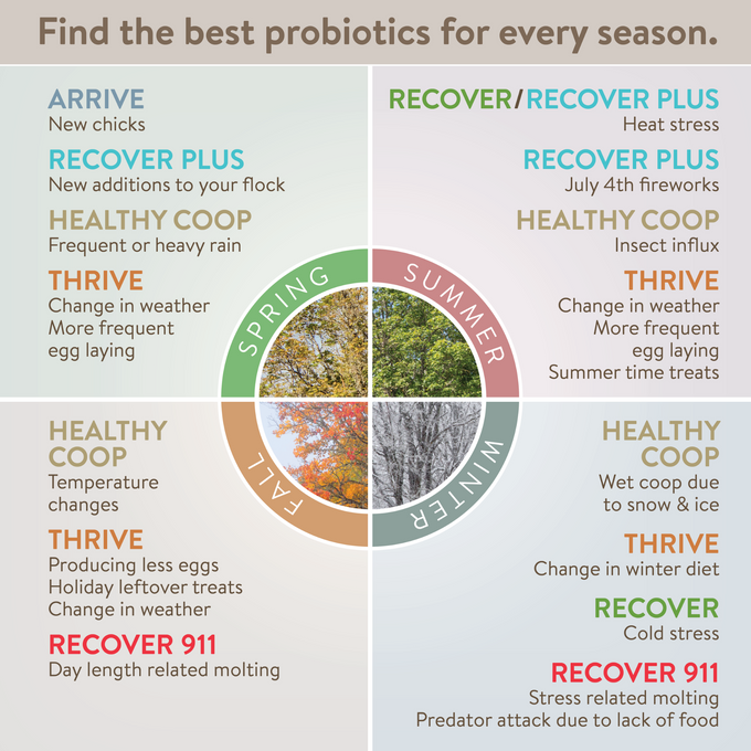 RECOVER PLUS – Moderate Stress Probiotic Water Supplement for Chickens with Electrolytes & Oregano