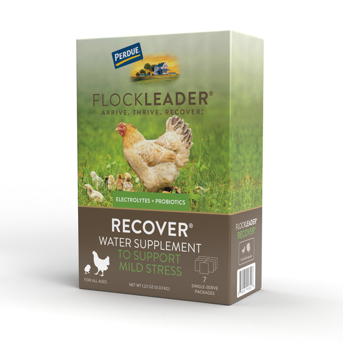 RECOVER – Mild Stress Probiotic Water Supplement for Chickens with Electrolytes