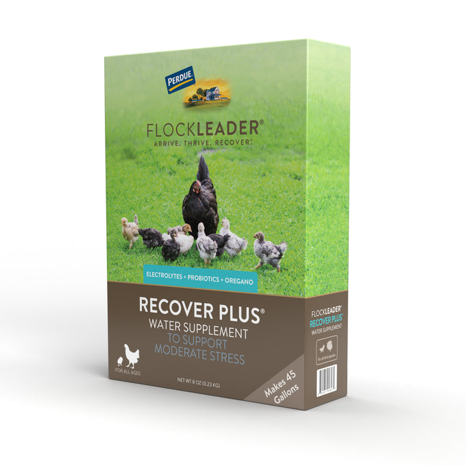 RECOVER PLUS – Moderate Stress Probiotic Water Supplement for Chickens with Electrolytes & Oregano