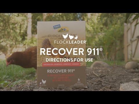 RECOVER 911 – Severe Stress Probiotic Water Supplement for Chickens with Electrolytes, Prebiotics & Oregano