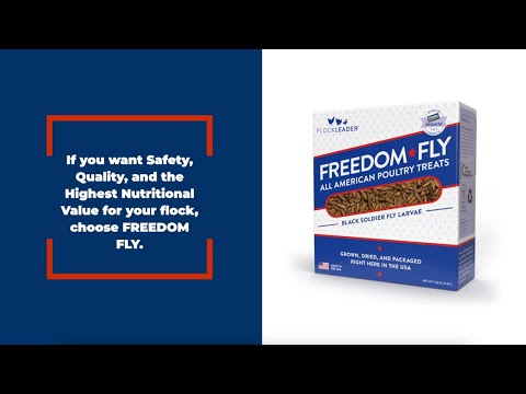 FREEDOM FLY - All American Dried Black Soldier Fly Larvae Poultry Treats, Made in USA