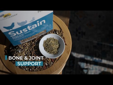 SUSTAIN - Functional Poultry Treats for Bone & Joint Support