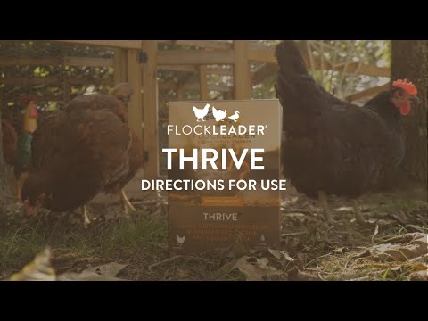 THRIVE - Daily Probiotic & Prebiotic Water Supplement for Chickens 8+ Weeks Old