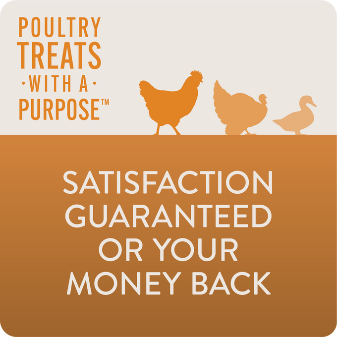 ENHANCE - Functional Poultry Treats for Egg Production & Quality