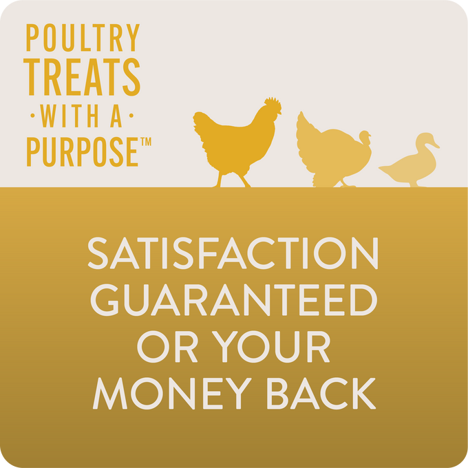 SHINE - Functional Poultry Treats for Skin & Feather Support