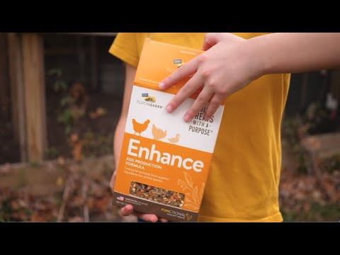 ENHANCE - Functional Poultry Treats for Egg Production & Quality